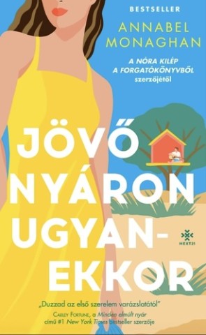 A könyv borítója