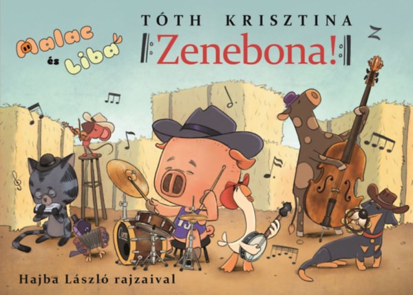 A könyv borítója