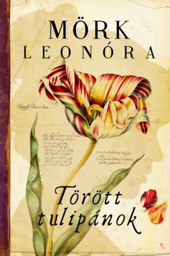 A könyv borítója